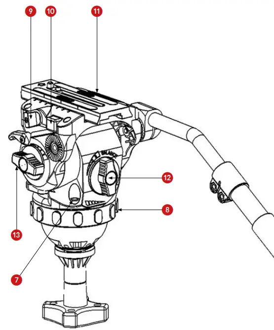 CARTONI-Focus-8V-fig-5