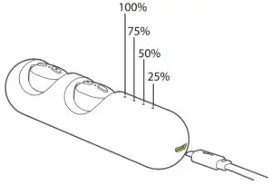 Avantree BTHS-TWS110 True Wireless Earbuds - charging case