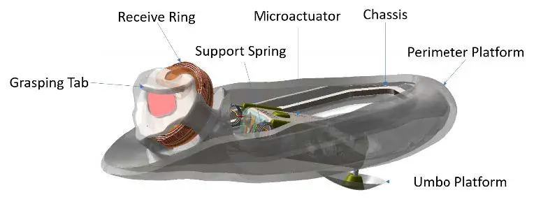 earlens IFU00038vK Contact Hearing Solution Fig2
