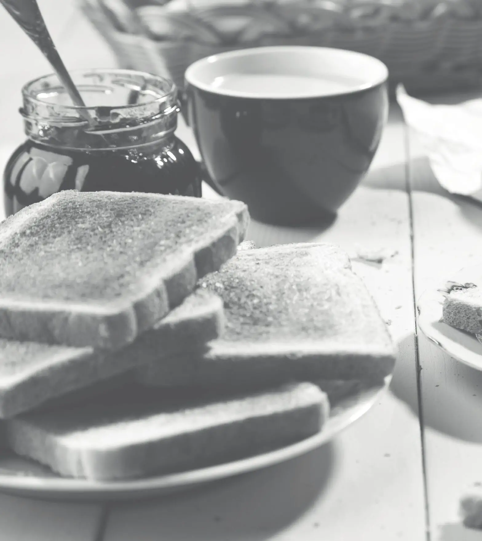 teesa TSA3300 Toaster - cover