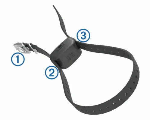 Garmin Delta XC Bundle -Dog Training Device-3