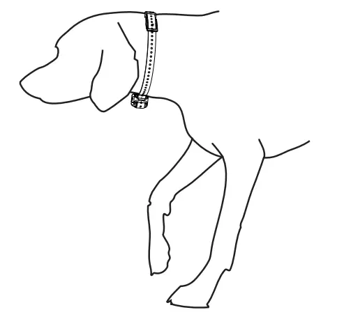 Garmin Delta XC Bundle -Dog Training Device-8