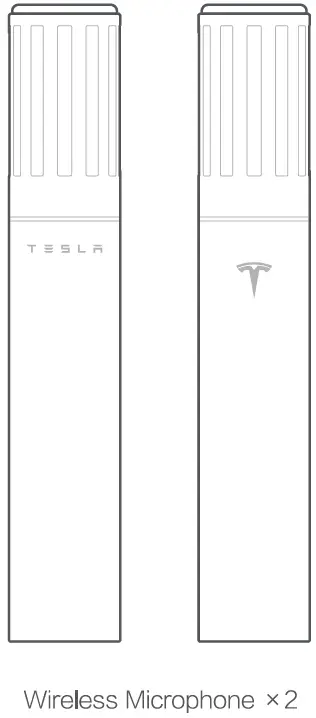 TESLA TSL42 Wireless Microphone-1