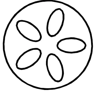 Livoo DOC283 KAMADO Ceramic Barbecue 10