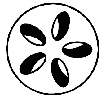 Livoo DOC283 KAMADO Ceramic Barbecue 8