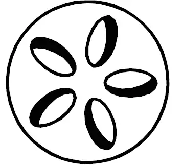 Livoo DOC283 KAMADO Ceramic Barbecue 9