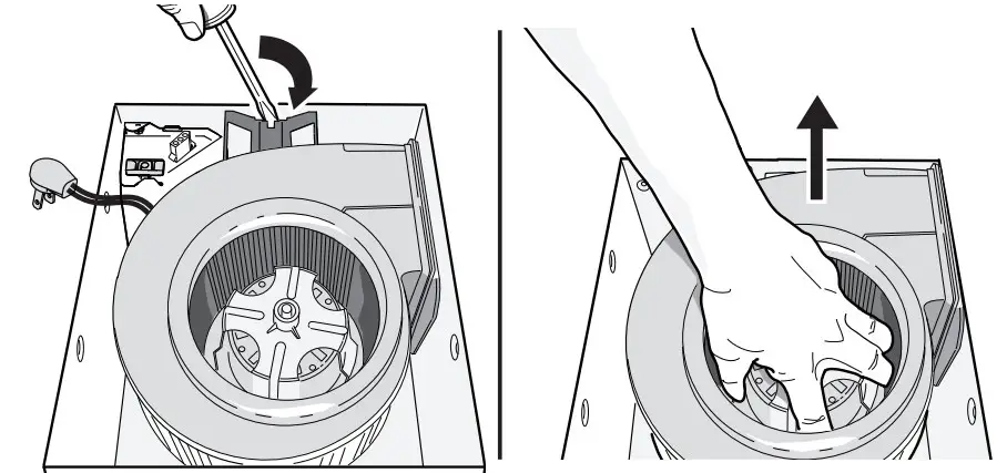 Remove all packing material