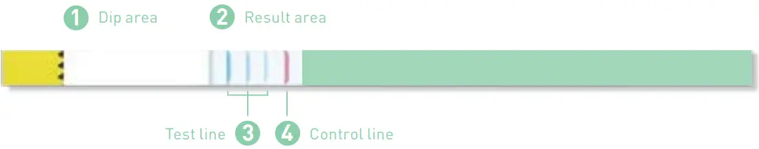 Structure of dipstick