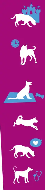 frisco-280101-Ultimate-Foldable-and-Stackable-Heavy-Duty-Steel-Metal-Single-Door-Dog-Crate-fig-9