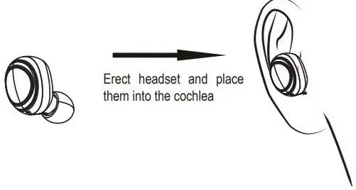 TWS Bluetooth Headset BS228GB User Manual - Erect headset and place them into the cochlea