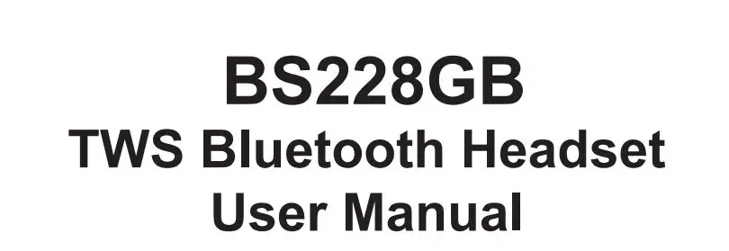 TWS Bluetooth Headset BS228GB User Manual
