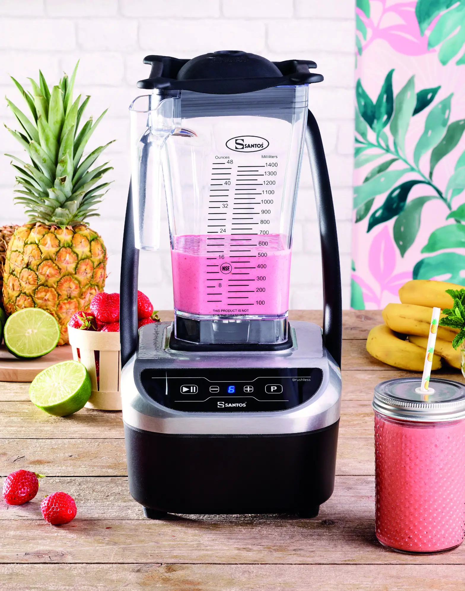 SANTOS Compact Brushless Blender 66