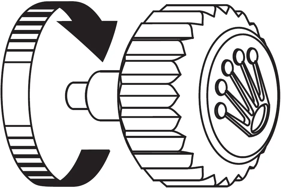 WEARING THE WATCH FOR THE FIRST TIME 01