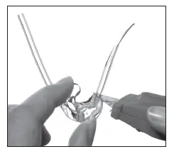 Place the mould down