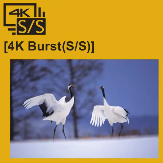 Panasonic LUMIX 4K Digital Camera 4 kcapturing the best