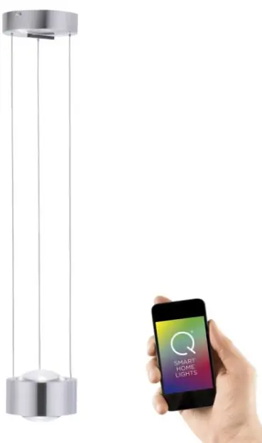 Paul Neuhaus 8320-55 Q-Lens Pendant Light