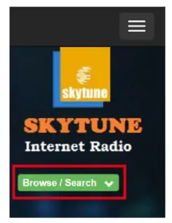 audizio Ferrara Internet plus DAB and Radio - Fig 18