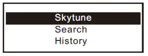 audizio Ferrara Internet plus DAB and Radio - Fig 6