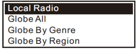audizio Ferrara Internet plus DAB and Radio - Fig 7