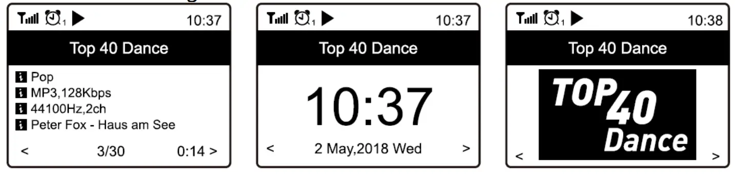 audizio Ferrara Internet plus DAB and Radio - Fig9
