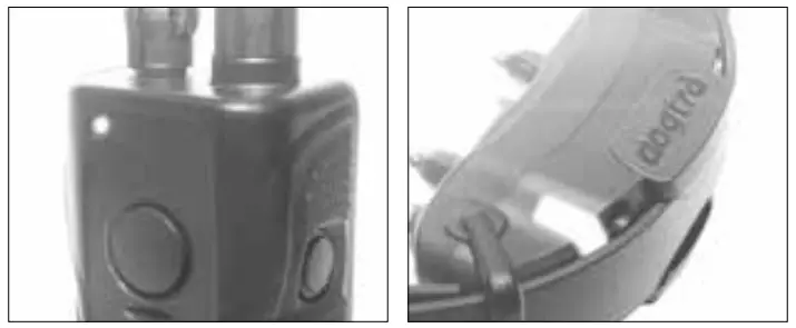 Dogtra 1900S Training Collar-shut down