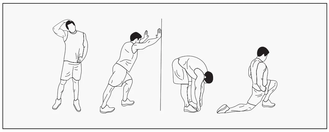 LIFESPAN ROWER - greater you will feel