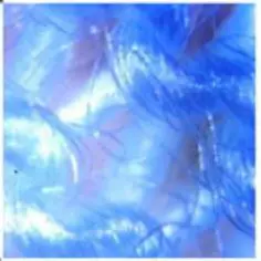 OPTO-EDU-A13.2501-B-Portable-Metallurgical-Microscope-FIG-2