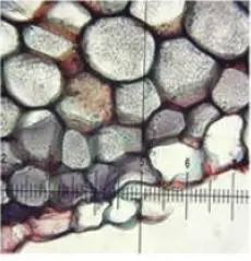 OPTO-EDU-A13.2501-B-Portable-Metallurgical-Microscope-FIG-3