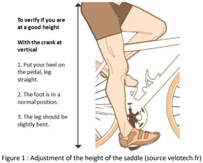 BIKE 43 ebike to Carry Children and Groceries - Height of the saddle