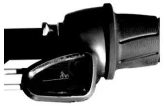 BIKE 43 ebike to Carry Children and Groceries - this positio