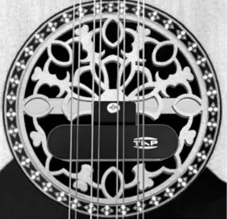 TAP TS-L Traditional Instruments Pickups Preamps