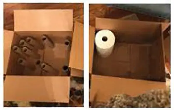 Procter Gamble Paper Towels and Holders fig 2