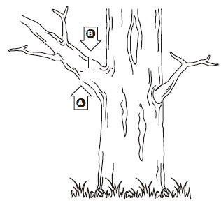 greenworks pro 60PS10T Pole Saw fig14