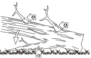 greenworks pro 60PS10T Pole Saw fig15
