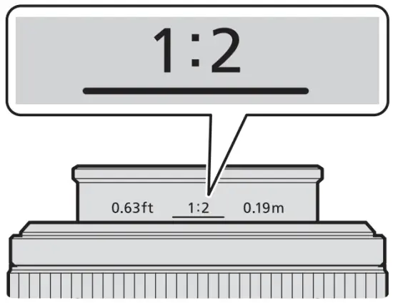 Choosing a Reproduction Ratio