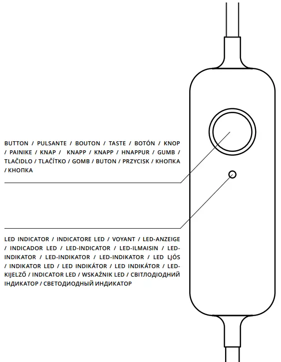 Button and LED Indicator