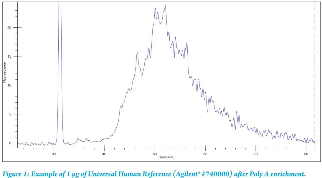 PerkinElmer NOVA-512991 NEXTFLEX Magnetic Beads User Manual - Fig 1