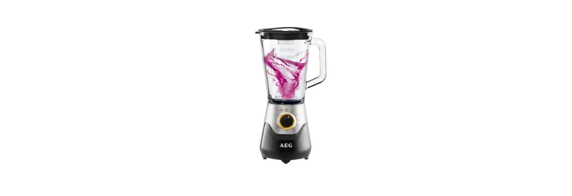 Aeg Deli 3, 4 Blender User Manual Aeg Deli 3, 4 Blender User Manual