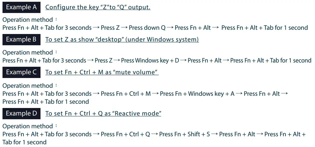 Ducky One 3 SF Grand Debut User Manual - Set Up Example