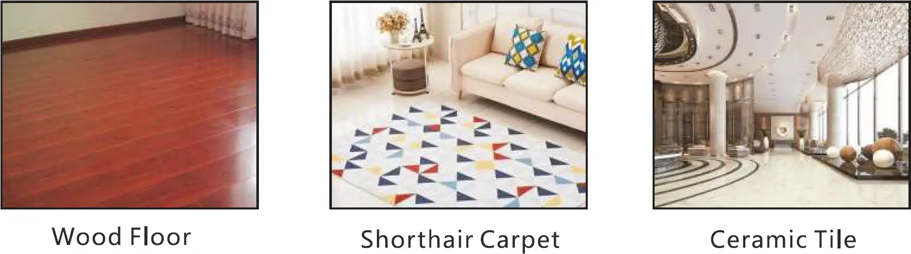 The Use Scope of the Product