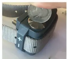 a close up of a mouse