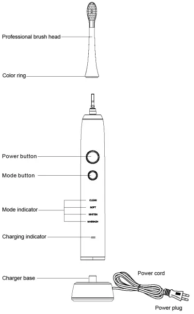 ARDESTO ETB-211B Electric Toothbrush-fig2
