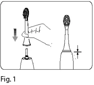 ARDESTO ETB-211B Electric Toothbrush-fig4