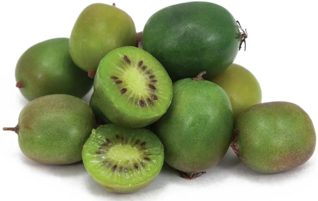Kiwi
