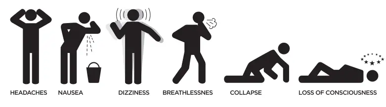 Assembly Instructions