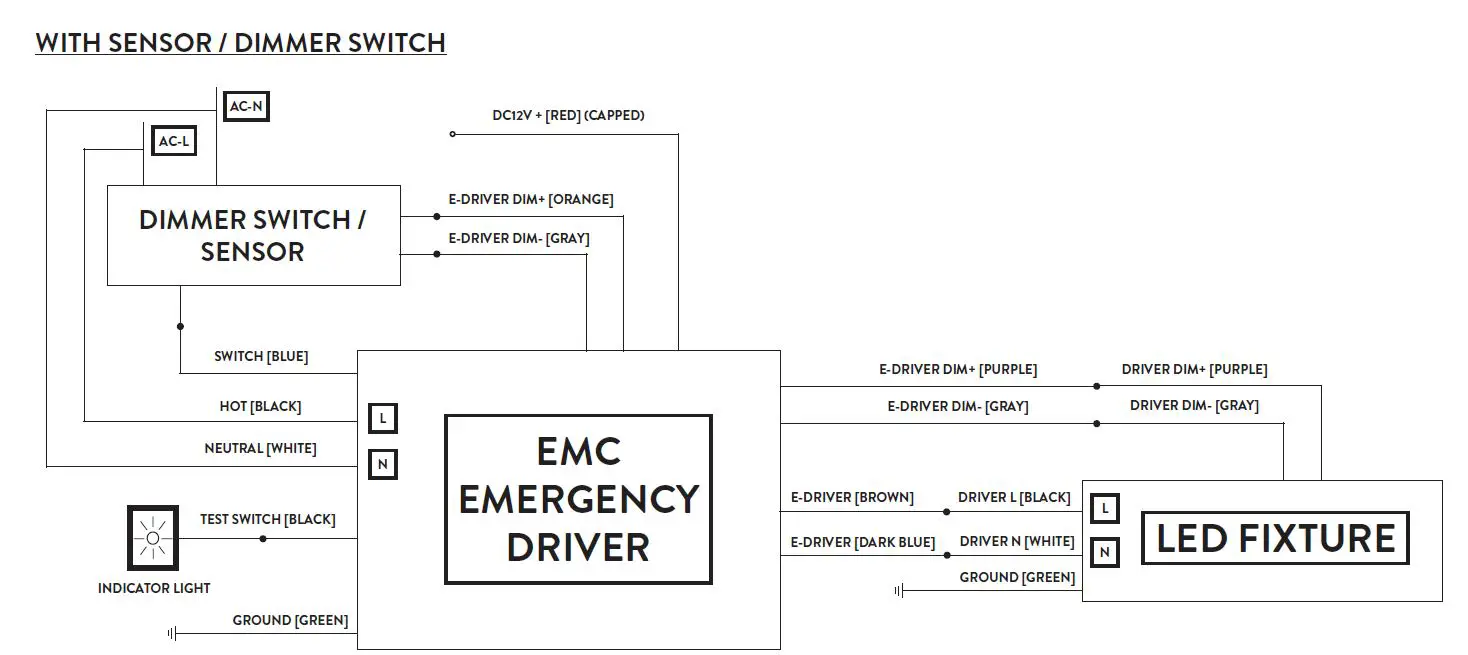 Paclights EMC Emergency Back-up fig 2