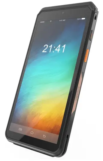 ingenico AXIUM EX8000 Rugged Phone