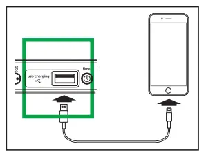 Charging Devices Via USB Port