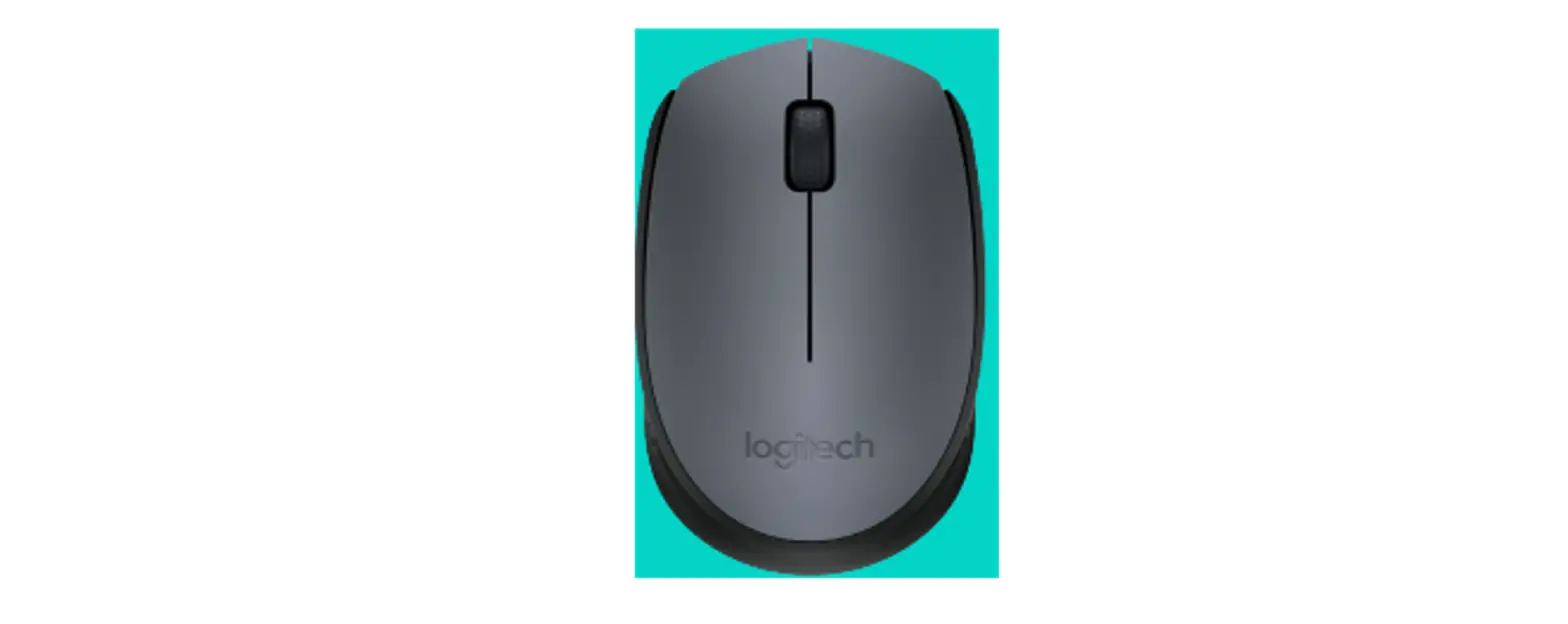Logitech B170 Wireless Mouse User Guide