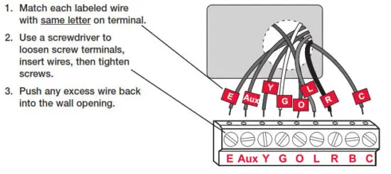 Honeywell RTH3100C Non-Programmable Digital Thermostat - Connect wires